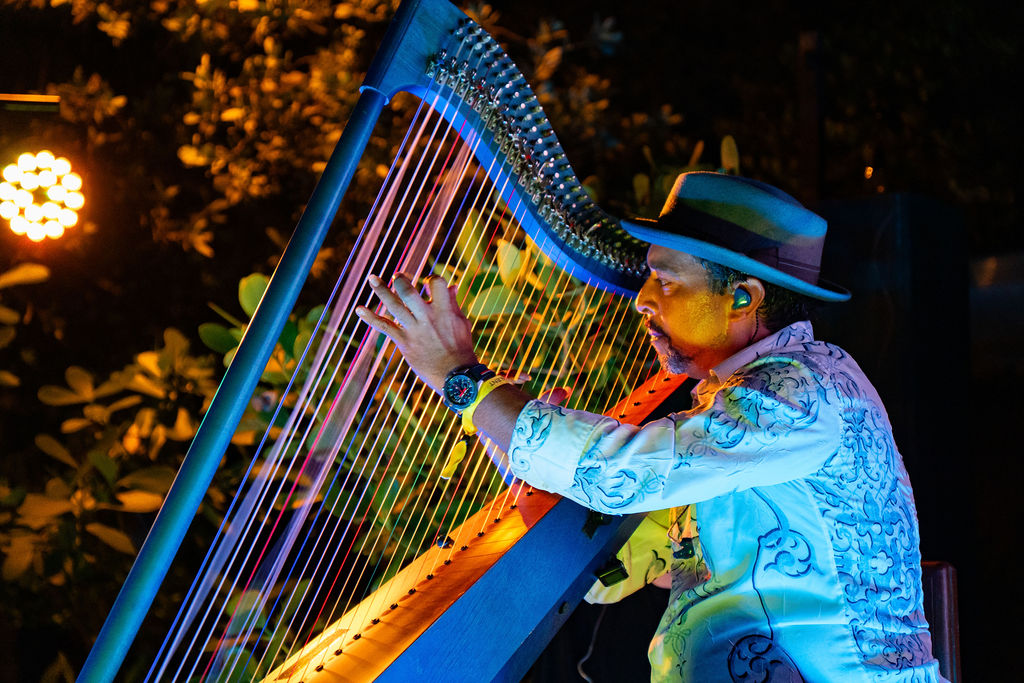 Harpist performing at Caracas at the Beach